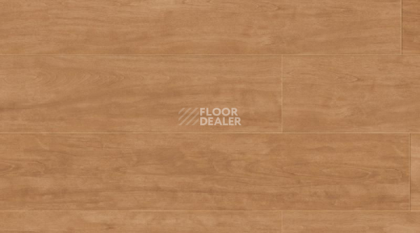 Кварцвиниловые полы Creation 70 0262 Elm фото 1 | FLOORDEALER